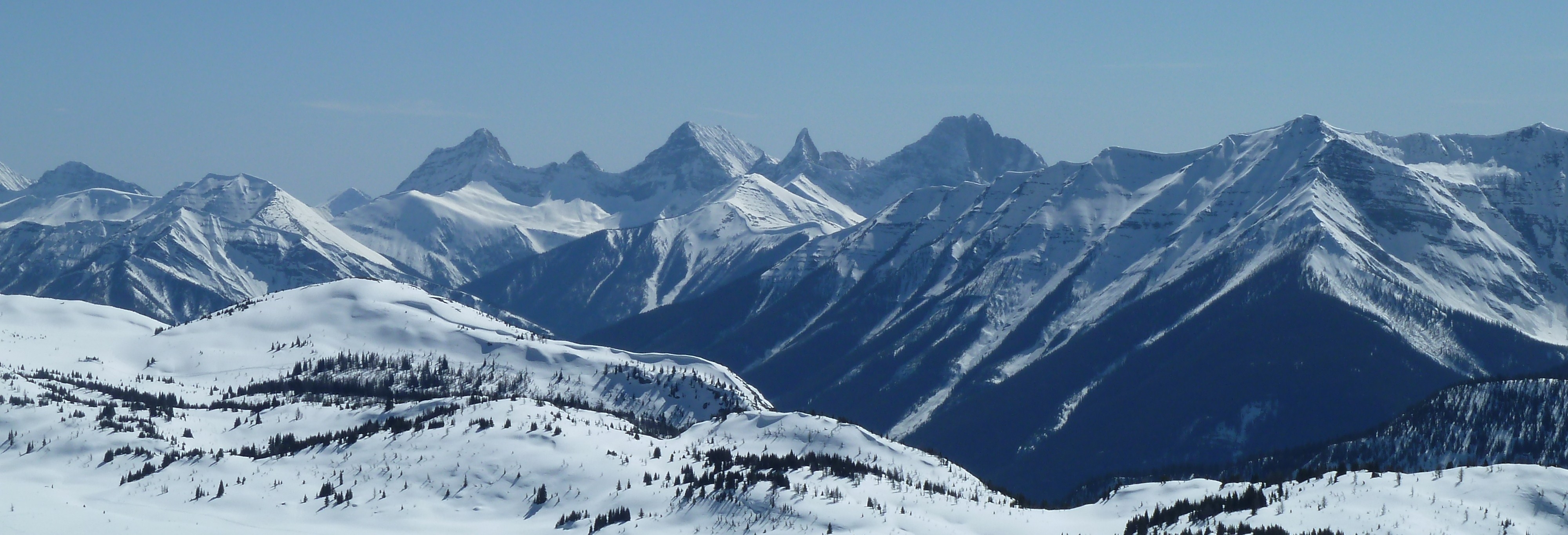 Macroscale Suzanne Kresta