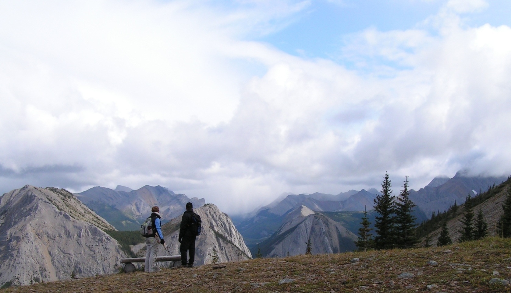 Macroscale Suzanne Kresta