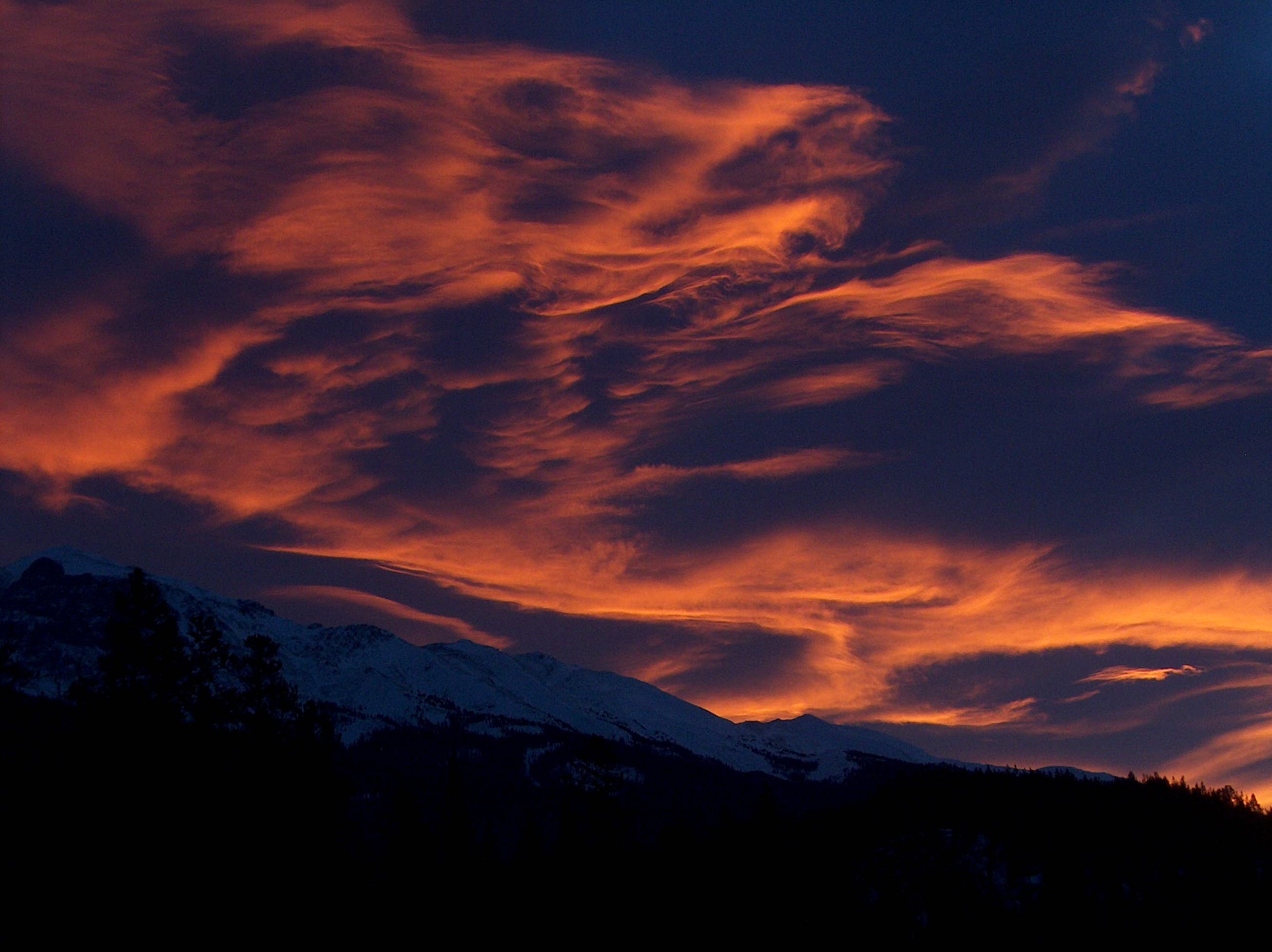 Macroscale Suzanne Kresta